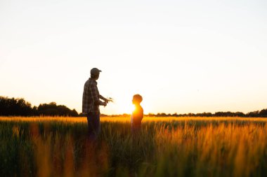 Farmer and his son in front of a sunset agricultural landscape. Man and a boy in a countryside field. The concept of fatherhood, country life, farming and country lifestyle.