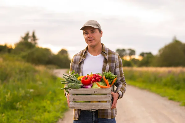 Farmer Vegetable Box Front Sunset Agricultural Landscape Man Countryside Field — Fotografia de Stock