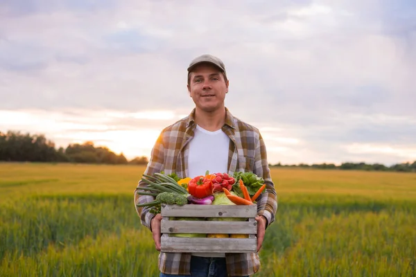 Farmer Vegetable Box Front Sunset Agricultural Landscape Man Countryside Field — Stockfoto