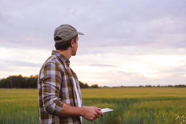Farmer Tablet Computer Front Sunset Agricultural Landscape Man Countryside Field — Fotografia de Stock