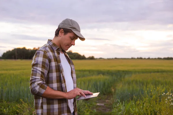 Farmer Tablet Computer Front Sunset Agricultural Landscape Man Countryside Field — Φωτογραφία Αρχείου