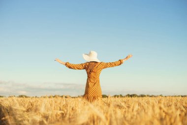 Güzel genç bir kadın tarlada yürüyor ve elleriyle çavdara dokunuyor. Gün batımındaki kız. Özgürlük ve mutluluk kavramı.