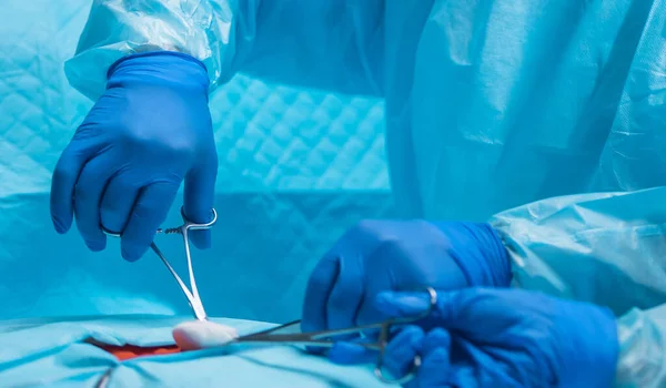 Equipe Diversificada Médicos Profissionais Realiza Uma Operação Cirúrgica Uma Sala Fotografias De Stock Royalty-Free