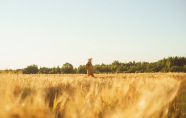 Günbatımında hamile bir kadın. Güzel bir genç kız bir çocuğun doğmasını umarak tarlada yürüyor. Annelik, hamilelik ve mutluluk kavramı..