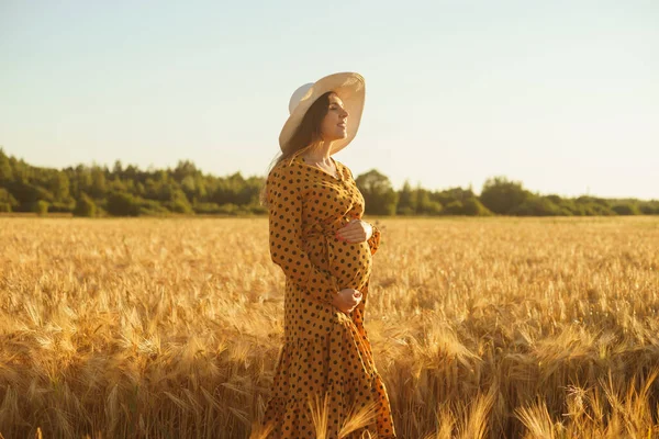 Těhotná Žena Paprscích Západu Slunce Krásná Mladá Dívka Chodí Poli — Stock fotografie
