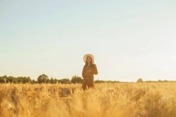 日没の光線で妊娠中の女性 美しい若い女の子が子供の誕生を期待して畑を歩いています 幸福の概念 — ストック写真