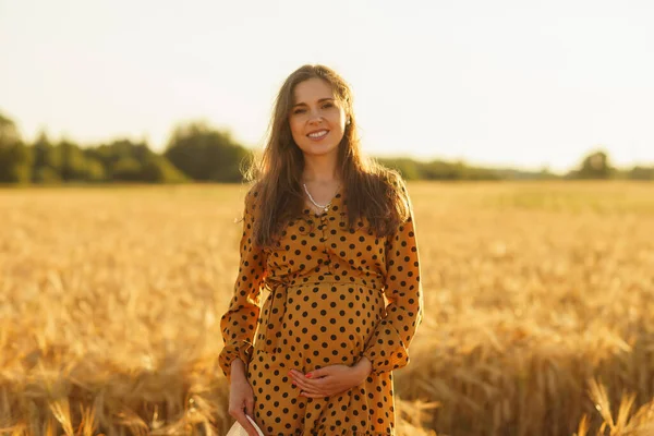 Gravid Kvinna Solnedgångens Strålar Vacker Ung Flicka Går Fältet Och — Stockfoto