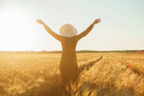 美しい若い女性が畑を歩き 手でライ麦に触れます 夕日の光の中で女の子 自由と幸福の概念 — ストック写真