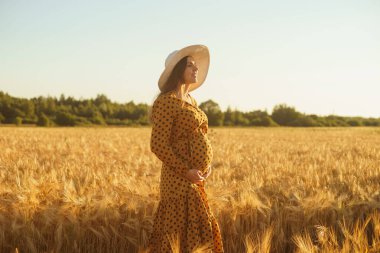Günbatımında hamile bir kadın. Güzel bir genç kız bir çocuğun doğmasını umarak tarlada yürüyor. Annelik, hamilelik ve mutluluk kavramı..