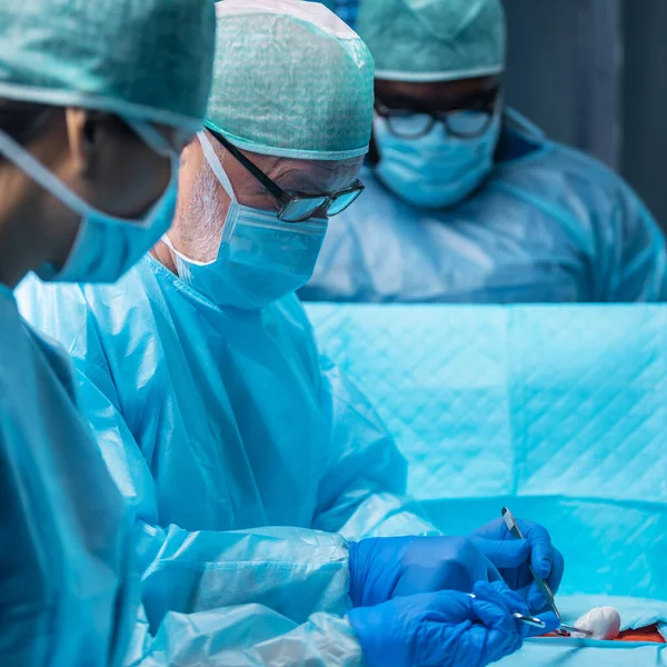 Olika Team Professionella Läkare Utför Kirurgisk Operation Ett Modernt Operationssal — Stockfoto