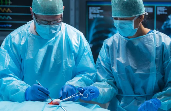 Diverse Team Van Professionele Artsen Voert Een Chirurgische Ingreep Een — Stockfoto