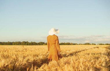 Güzel genç bir kadın tarlada yürüyor ve elleriyle çavdara dokunuyor. Gün batımındaki kız. Özgürlük ve mutluluk kavramı.