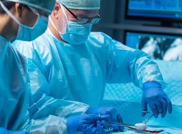 Diverse team of professional medical doctors performs a surgical operation in a modern operating room using high-tech equipment and technology. Surgeons are working to save the patient in the hospital