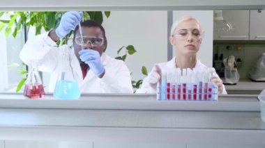 Laboratuvarda çalışan bilim adamları. Doktorlar tıbbi araştırma yapıyor. Laboratuvar aletleri: mikroskop, test tüpleri, ekipmanlar. Biyoteknoloji, kimya, bilim, deneyler ve sağlık konsepti. Gün ışığı ve