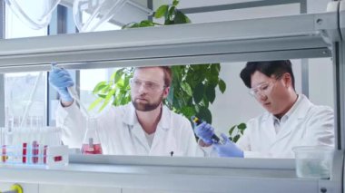 Laboratuvarda çalışan bilim adamları. Erkek doktor mikrobiyoloji araştırması yapıyor. Laboratuvar aletleri: mikroskop, test tüpleri, ekipmanlar. Biyoteknoloji, kimya, bakteriyoloji, viroloji, DNA ve