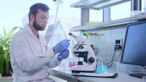 Επιστήμονας Που Δουλεύει Στο Εργαστήριο Αρσενικός Γιατρός Που Κάνει Μικροβιολογική — Αρχείο Βίντεο