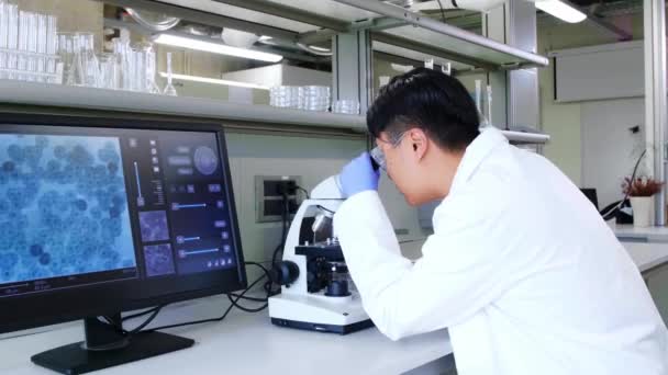 研究室で働いてる科学者医学研究を行うアジアの医師 実験室用具 顕微鏡 試験管 バイオテクノロジー ヘルスケアの概念 日の光 — ストック動画