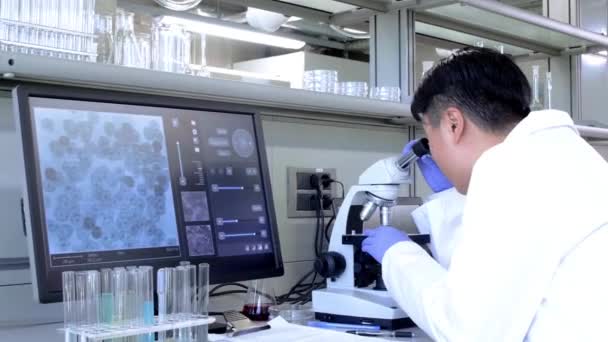 Científico Trabajando Laboratorio Médico Asiático Haciendo Investigación Médica Herramientas Laboratorio — Vídeo de stock