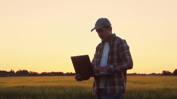 Boer Met Laptop Voor Een Zonsondergang Agrarisch Landschap Man Het — Stockvideo