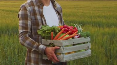 Sebze kutusu olan bir çiftçi. Kırsal alanda yürüyen bir adam. Kır hayatı, gıda üretimi, tarım ve kırsal yaşam tarzı kavramı.