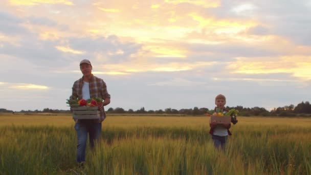 Farmer His Son Front Sunset Agricultural Landscape Man Boy Countryside — Stok Video