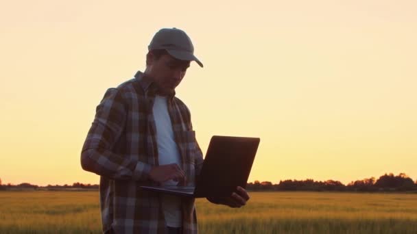 Farmer Laptop Computer Front Sunset Agricultural Landscape Man Countryside Field — ストック動画