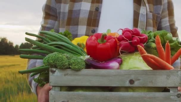 日没の農業風景の前に野菜箱を運ぶ農民 田舎の田舎にいる男 国の生活 食糧生産 カントリーライフスタイルのコンセプト — ストック動画