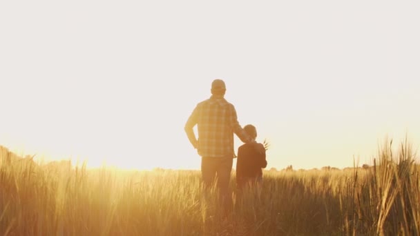 Farmer His Son Front Sunset Agricultural Landscape Man Boy Countryside — Wideo stockowe