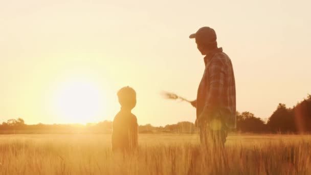 Farmer His Son Front Sunset Agricultural Landscape Man Boy Countryside — ストック動画