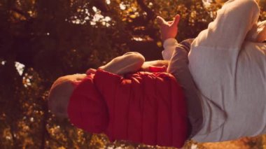 Aile gün batımında kırsalda yürür. Aşk kavramı, aile bakımı ve çocuklar. Dikey video.