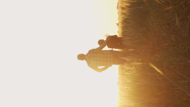 Landwirt Und Sein Sohn Halten Bei Sonnenuntergang Weizenähren Der Agrarlandschaft — Stockvideo