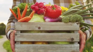 Günbatımı tarımının önündeki çiftçi. Kırsal kesimde bir adam. Kır hayatı, gıda üretimi, tarım ve kırsal yaşam tarzı kavramı.