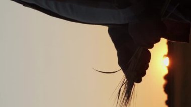 Farmer in front of a sunset agricultural landscape. Man in a countryside field. The concept of country life, food production, farming and country lifestyle.