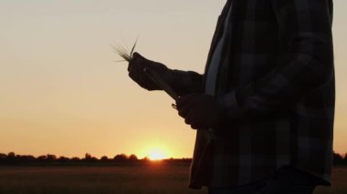 Günbatımı tarımının önündeki çiftçi. Kırsal kesimde bir adam. Kır hayatı, gıda üretimi, tarım ve kırsal yaşam tarzı kavramı.