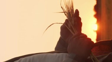 Farmer in front of a sunset agricultural landscape. Man in a countryside field. The concept of country life, food production, farming and country lifestyle.