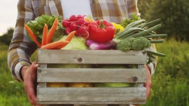 Günbatımı tarımının önündeki çiftçi. Kırsal kesimde bir adam. Kır hayatı, gıda üretimi, tarım ve kırsal yaşam tarzı kavramı.