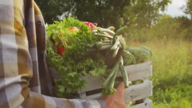Günbatımı tarımının önündeki çiftçi. Kırsal kesimde bir adam. Kır hayatı, gıda üretimi, tarım ve kırsal yaşam tarzı kavramı.