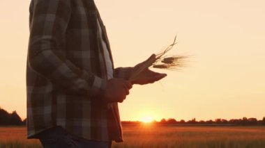 Farmer in front of a sunset agricultural landscape. Man in a countryside field. The concept of country life, food production, farming and country lifestyle.
