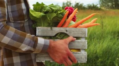 Günbatımı tarımının önündeki çiftçi. Kırsal kesimde bir adam. Kır hayatı, gıda üretimi, tarım ve kırsal yaşam tarzı kavramı.