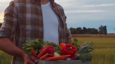 Farmer in front of a sunset agricultural landscape. Man in a countryside field. The concept of country life, food production, farming and country lifestyle.