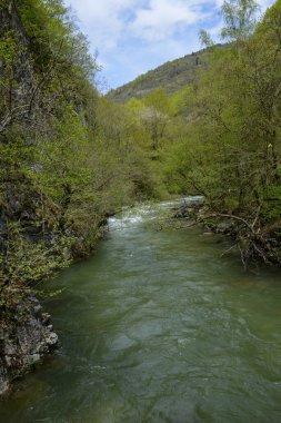 Makedonya 'daki Mavrovo ulusal parkının manzarası