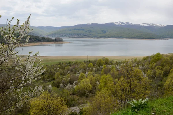 Vista Lago Parque Nacional Mavrovo Macedonia — Foto de Stock