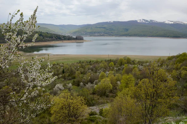 Vista Lago Parque Nacional Mavrovo Macedonia — Foto de Stock