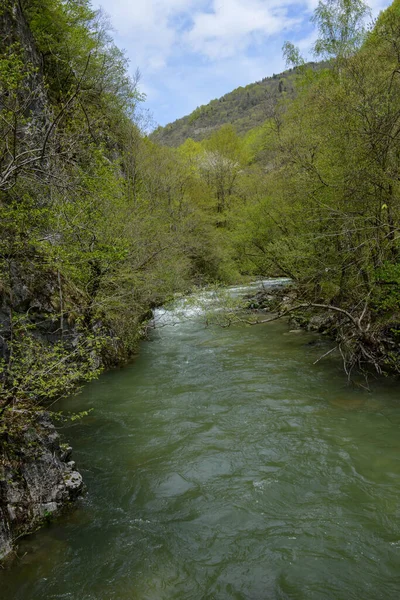 Vista Del Parque Nacional Mavrovo Macedonia — Foto de Stock