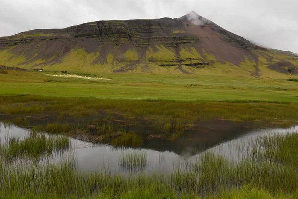 아이슬란드에 호수가 — 스톡 사진