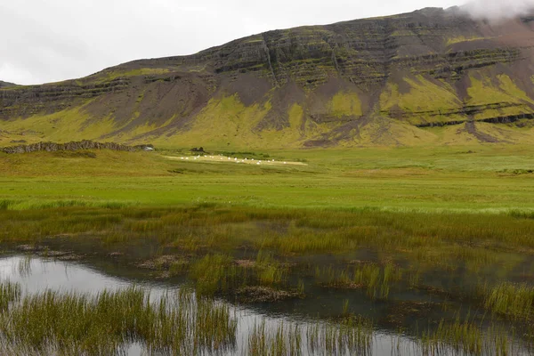 Сельский Пейзаж Озером Исландии — стоковое фото