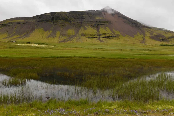 Αγροτικό Τοπίο Μια Λίμνη Στην Ισλανδία — Φωτογραφία Αρχείου