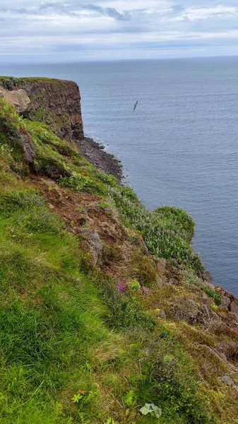 Paysage Rural Bord Mer Sur Islande — Photo
