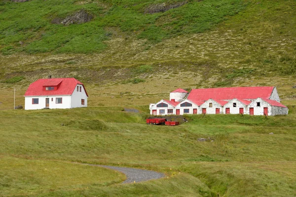 Paisaje Rural Isla Islandia — Foto de Stock