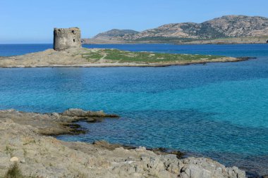 İtalya 'da Sardinya' daki Stintino 'daki Pelosa plajına bakın.